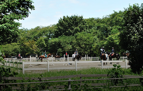 団体購入について