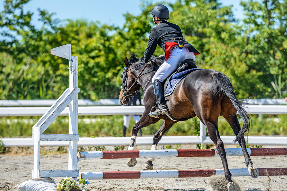 乗馬クラブ加盟の方