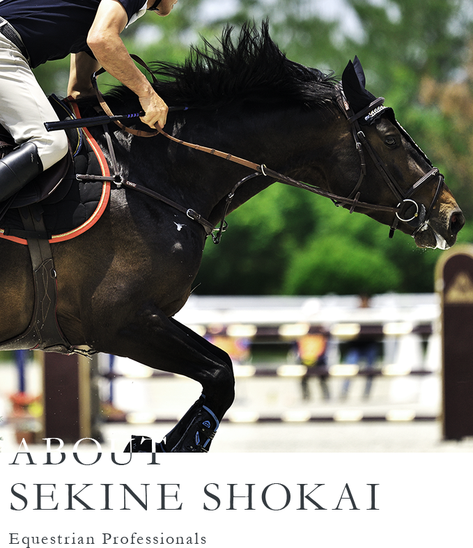 ABOUT SEKINE SHOKAI Equestrian Professionals