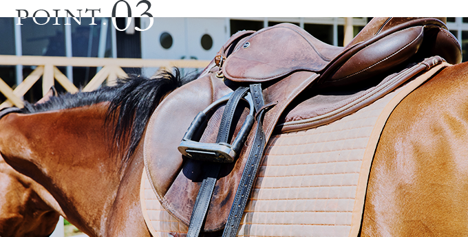 手入れ方法のご案内