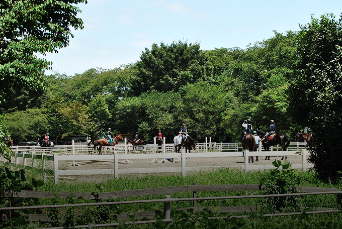 団体購入について